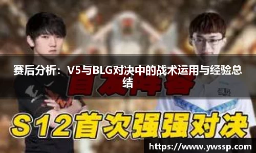3377体育