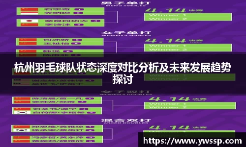 杭州羽毛球队状态深度对比分析及未来发展趋势探讨