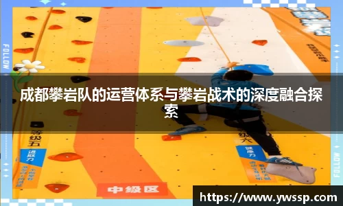 3377体育官网下载