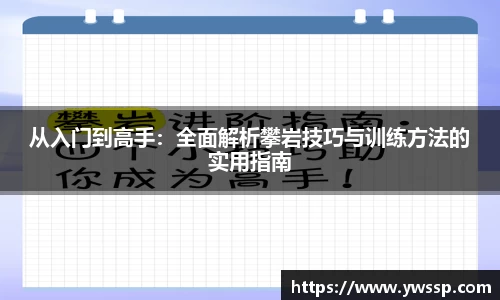 从入门到高手：全面解析攀岩技巧与训练方法的实用指南