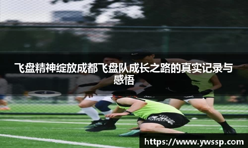 3377体育官网