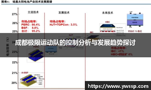 成都极限运动队的控制分析与发展趋势探讨