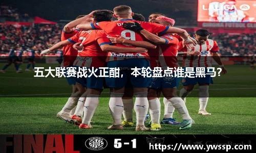 五大联赛战火正酣，本轮盘点谁是黑马？