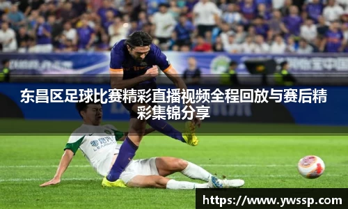 东昌区足球比赛精彩直播视频全程回放与赛后精彩集锦分享