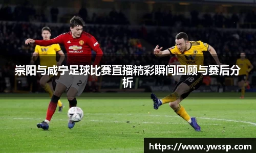 崇阳与咸宁足球比赛直播精彩瞬间回顾与赛后分析