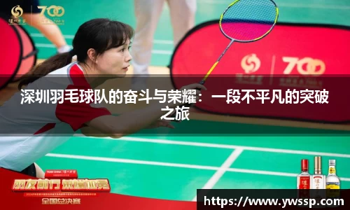 深圳羽毛球队的奋斗与荣耀：一段不平凡的突破之旅