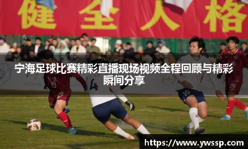 3377体育官网