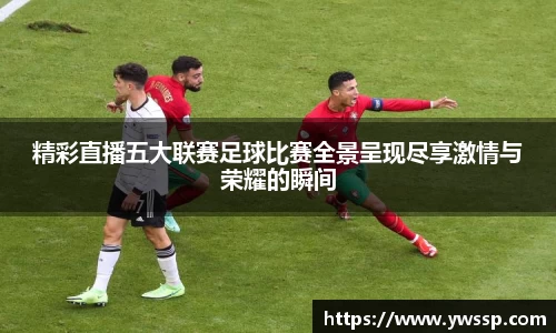 3377体育官网