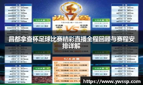 3377体育官网