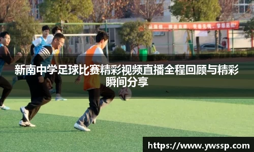 3377体育