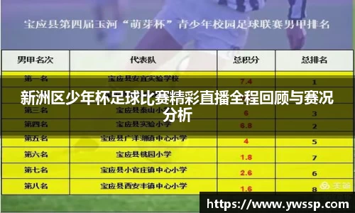 3377体育官网下载