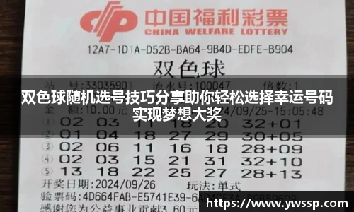 3377体育官网下载