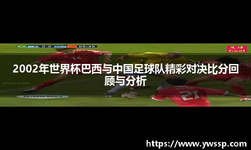 3377体育官网下载
