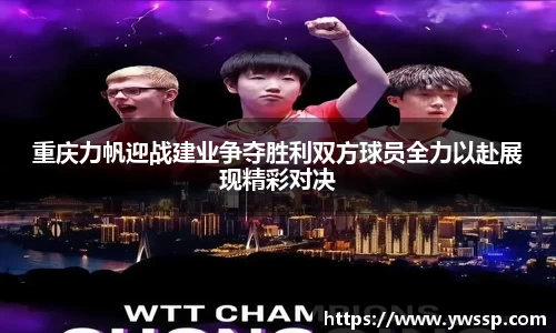 3377体育