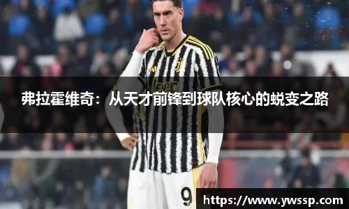 弗拉霍维奇：从天才前锋到球队核心的蜕变之路