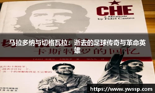 马拉多纳与切格瓦拉：逝去的足球传奇与革命英雄